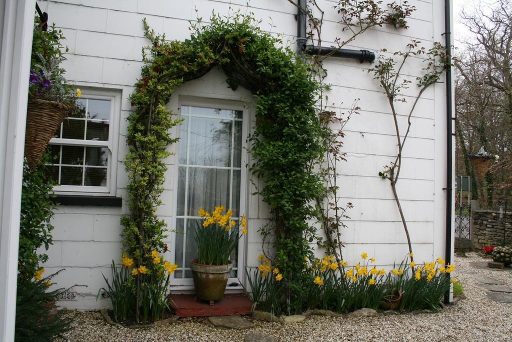 Clayhill House Bed & Breakfast Lyndhurst Bagian luar foto